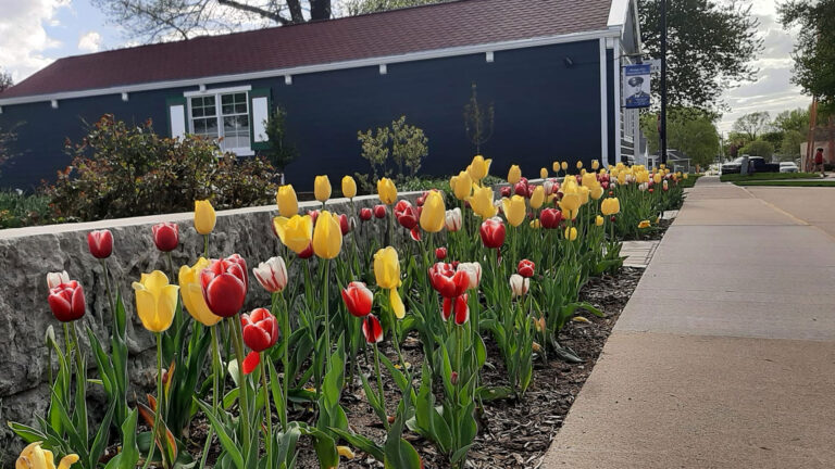 orangecity place DAHM 01 1920x1080 1 1 768x432