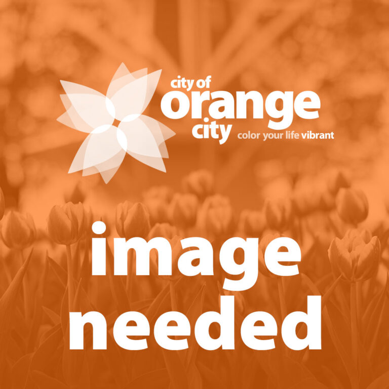orangecity news image needed 02 1080x1080 1 1 768x768